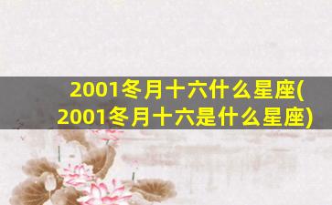 2001冬月十六什么星座(2001冬月十六是什么星座)