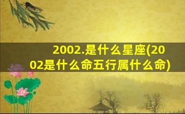 2002.是什么星座(2002是什么命五行属什么命)