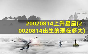 20020814上升星座(20020814出生的现在多大)