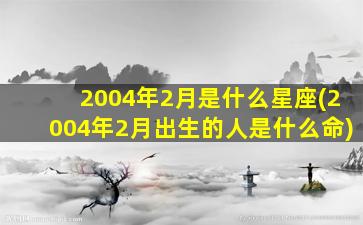 2004年2月是什么星座(2004年2月出生的人是什么命)