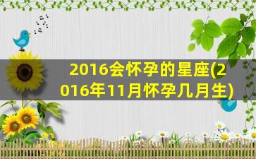 2016会怀孕的星座(2016年11月怀孕几月生)