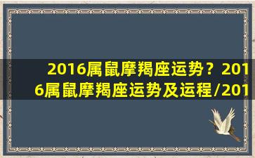 2016属鼠摩羯座运势？2016属鼠摩羯座运势及运程/2016属鼠摩羯座运势？2016属鼠摩羯座运势及运程-我的网站