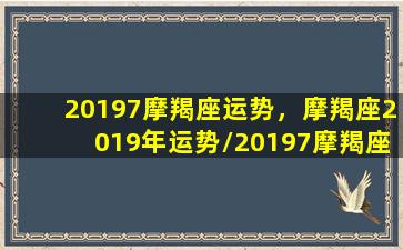 20197摩羯座运势，摩羯座2019年运势/20197摩羯座运势，摩羯座2019年运势-我的网站