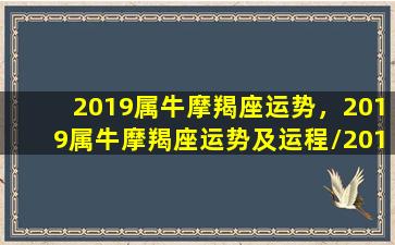 2019属牛摩羯座运势，2019属牛摩羯座运势及运程/2019属牛摩羯座运势，2019属牛摩羯座运势及运程-我的网站