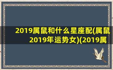 2019属鼠和什么星座配(属鼠2019年运势女)(2019属鼠的出生年份表年龄)