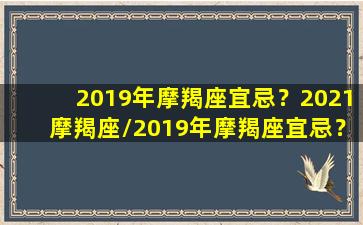 2019年摩羯座宜忌？2021摩羯座/2019年摩羯座宜忌？2021摩羯座-我的网站(2019摩羯运势今日运势如何)