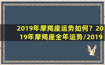 2019年摩羯座运势如何？2019年摩羯座全年运势/2019年摩羯座运势如何？2019年摩羯座全年运势-我的网站