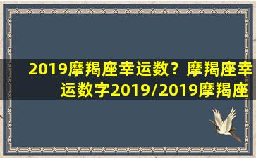 2019摩羯座幸运数？摩羯座幸运数字2019/2019摩羯座幸运数？摩羯座幸运数字2019-我的网站