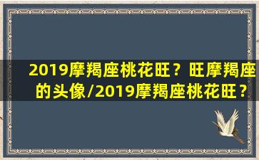 2019摩羯座桃花旺？旺摩羯座的头像/2019摩羯座桃花旺？旺摩羯座的头像-我的网站