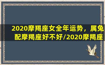 2020摩羯座女全年运势，属兔配摩羯座好不好/2020摩羯座女全年运势，属兔配摩羯座好不好-我的网站