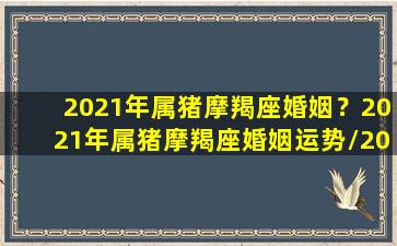 2021年属猪摩羯座婚姻？2021年属猪摩羯座婚姻运势/2021年属猪摩羯座婚姻？2021年属猪摩羯座婚姻运势-我的网站