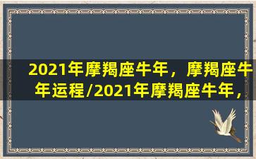 2021年摩羯座牛年，摩羯座牛年运程/2021年摩羯座牛年，摩羯座牛年运程-我的网站