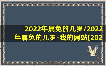 2022年属兔的几岁/2022年属兔的几岁-我的网站(2022年属兔的今年多大岁数)