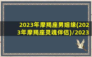 2023年摩羯座男姻缘(2023年摩羯座灵魂伴侣)/2023年摩羯座男姻缘(2023年摩羯座灵魂伴侣)-我的网站