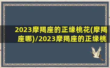 2023摩羯座的正缘桃花(摩羯座哪)/2023摩羯座的正缘桃花(摩羯座哪)-我的网站