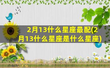 2月13什么星座最配(2月13什么星座是什么星座)