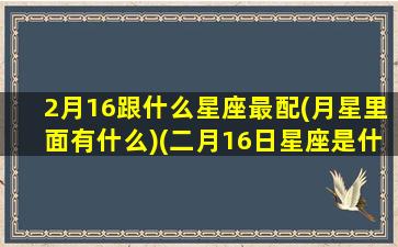 2月16跟什么星座最配(月星里面有什么)(二月16日星座是什么)