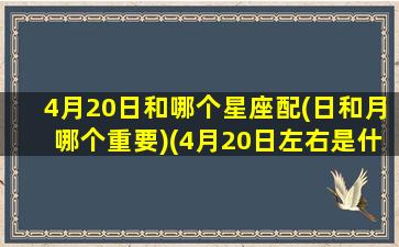 4月20日和哪个星座配(日和月哪个重要)(4月20日左右是什么星座)