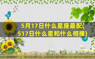 5月17日什么星座最配(517日什么星和什么相撞)