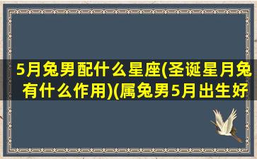 5月兔男配什么星座(圣诞星月兔有什么作用)(属兔男5月出生好不好)