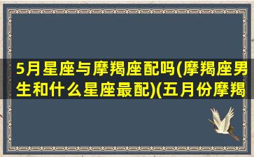 5月星座与摩羯座配吗(摩羯座男生和什么星座最配)(五月份摩羯座感情运势)