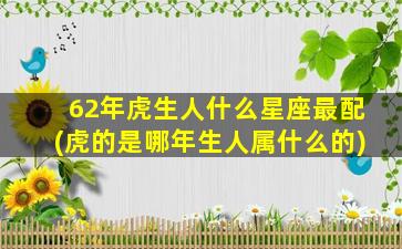 62年虎生人什么星座最配(虎的是哪年生人属什么的)