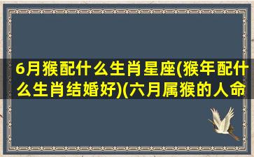 6月猴配什么生肖星座(猴年配什么生肖结婚好)(六月属猴的人命运如何)