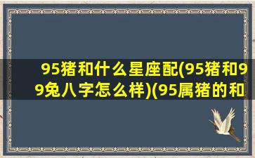 95猪和什么星座配(95猪和99兔八字怎么样)(95属猪的和95属猪的相配吗)