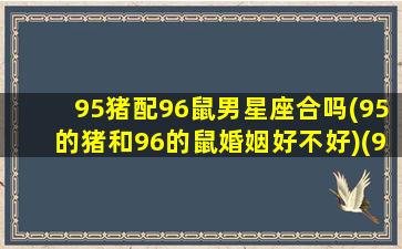 95猪配96鼠男星座合吗(95的猪和96的鼠婚姻好不好)(95属猪和96属鼠的配码)