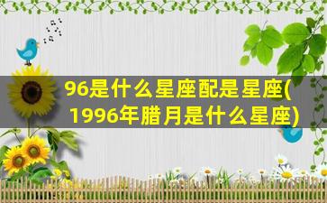 96是什么星座配是星座(1996年腊月是什么星座)