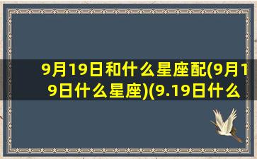 9月19日和什么星座配(9月19日什么星座)(9.19日什么星座)