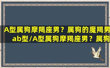 A型属狗摩羯座男？属狗的魔羯男ab型/A型属狗摩羯座男？属狗的魔羯男ab型-我的网站