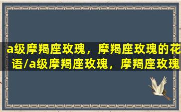 a级摩羯座玫瑰，摩羯座玫瑰的花语/a级摩羯座玫瑰，摩羯座玫瑰的花语-我的网站