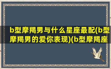 b型摩羯男与什么星座最配(b型摩羯男的爱你表现)(b型摩羯座男生爱上你的表现)