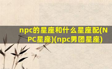 npc的星座和什么星座配(NPC星座)(npc男团星座)