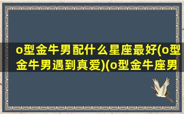 o型金牛男配什么星座最好(o型金牛男遇到真爱)(o型金牛座男生的性格特点)