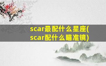 scar最配什么星座(scar配什么瞄准镜)