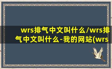 wrs排气中文叫什么/wrs排气中文叫什么-我的网站(wrs排气管是什么牌子)