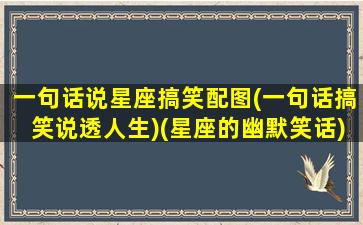 一句话说星座搞笑配图(一句话搞笑说透人生)(星座的幽默笑话)