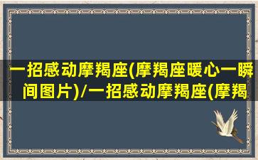 一招感动摩羯座(摩羯座暖心一瞬间图片)/一招感动摩羯座(摩羯座暖心一瞬间图片)-我的网站