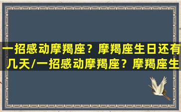 一招感动摩羯座？摩羯座生日还有几天/一招感动摩羯座？摩羯座生日还有几天-我的网站