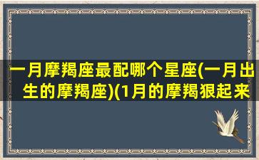 一月摩羯座最配哪个星座(一月出生的摩羯座)(1月的摩羯狠起来都不是人)