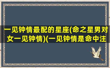 一见钟情最配的星座(命之星男对女一见钟情)(一见钟情是命中注定吗)