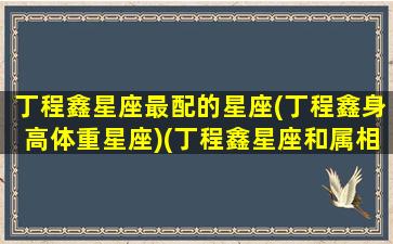 丁程鑫星座最配的星座(丁程鑫身高体重星座)(丁程鑫星座和属相)