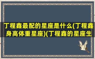 丁程鑫最配的星座是什么(丁程鑫身高体重星座)(丁程鑫的星座生肖)