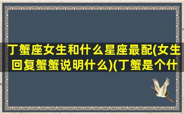 丁蟹座女生和什么星座最配(女生回复蟹蟹说明什么)(丁蟹是个什么样的人)