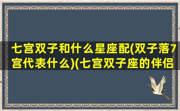 七宫双子和什么星座配(双子落7宫代表什么)(七宫双子座的伴侣)