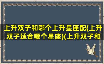 上升双子和哪个上升星座配(上升双子适合哪个星座)(上升双子和双子座的搭吗)