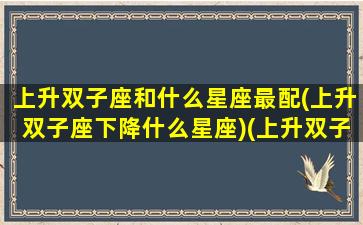 上升双子座和什么星座最配(上升双子座下降什么星座)(上升双子和哪个上升星座配)