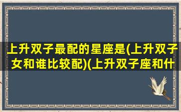 上升双子最配的星座是(上升双子女和谁比较配)(上升双子座和什么星座最配)